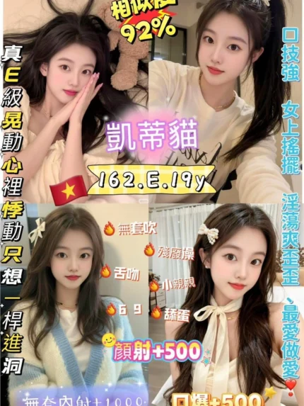 新北定點茶-凱蒂貓/162/45/19/E