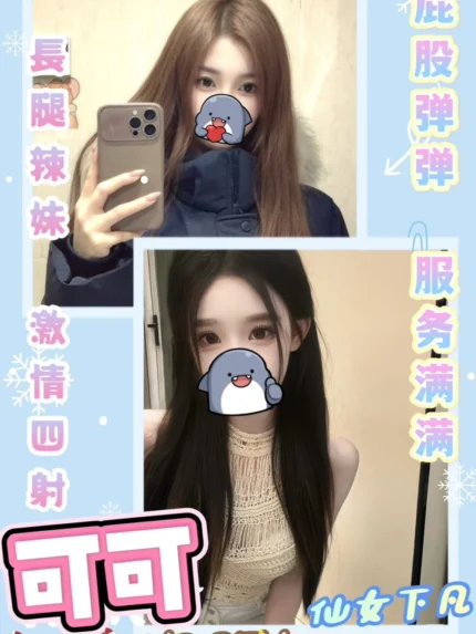 台中定點茶-可可/163/43/25/C