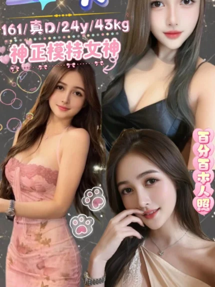 台北定點茶-卡卡/161/43/24/D