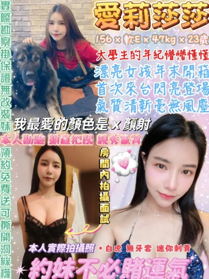 台北定點茶-愛莉莎莎/156/47/23/E