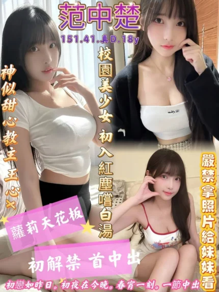 高雄定點茶-范中楚/151/41/18/D