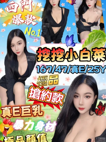 台北定點茶-挖挖小白菜/167/47/25/E