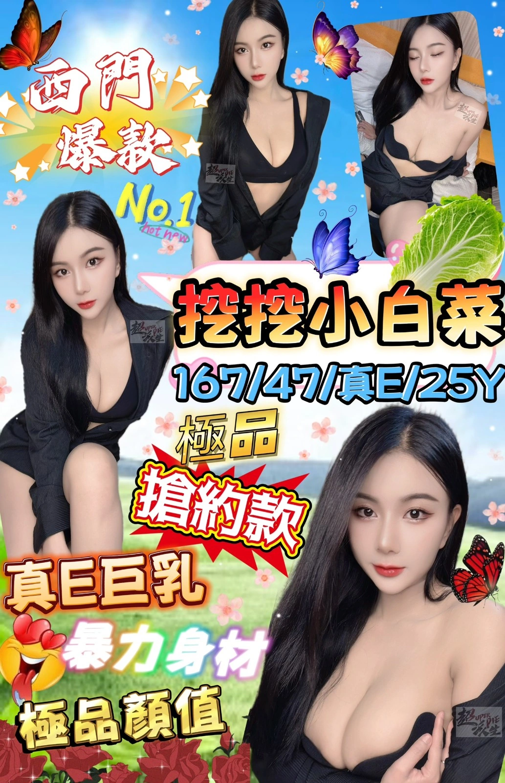 台北定點茶-挖挖小白菜/167/47/25/E 台北定點茶-挖挖小白菜/167/47/25/E