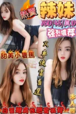 屏東定點茶-辣妹/160/45/?/D