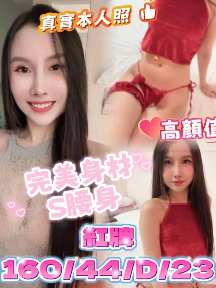 台中定點茶-紅牌/160/44/23/D