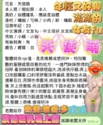 高雄定點茶-天使萌/161/43/?/G