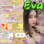 新竹定點茶-EVA/164/48/?/D