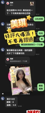 台南定點茶-美琪/162/48/24/D