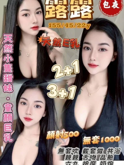 桃園定點茶-露露/155/45/22/E