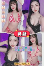 屏東外送茶-乳酪/152/45/?/D