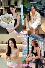 新北定點茶-小羽/160/47/24/D