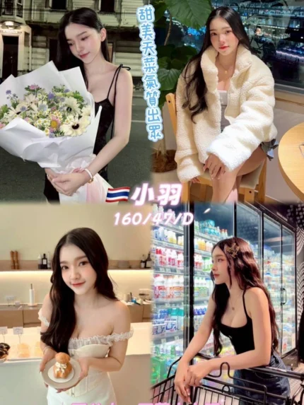 新北定點茶-小羽/160/47/24/D