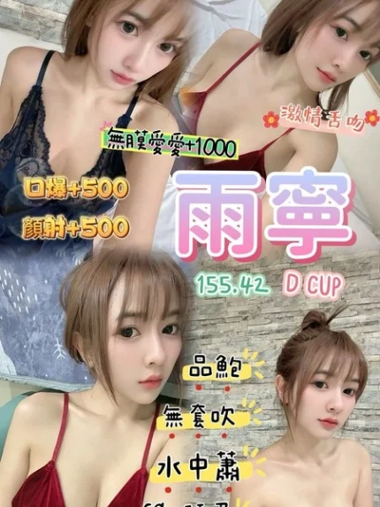 桃園定點茶-雨寧/155/42/22/D