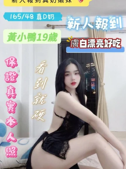 台南定點茶-黃小鴨/165/48/19/D