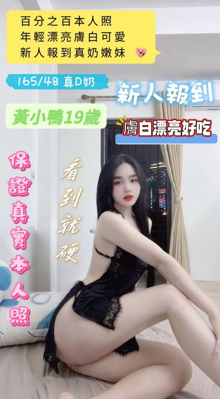 台南定點茶-黃小鴨/165/48/19/D 台南定點茶-黃小鴨/165/48/19/D