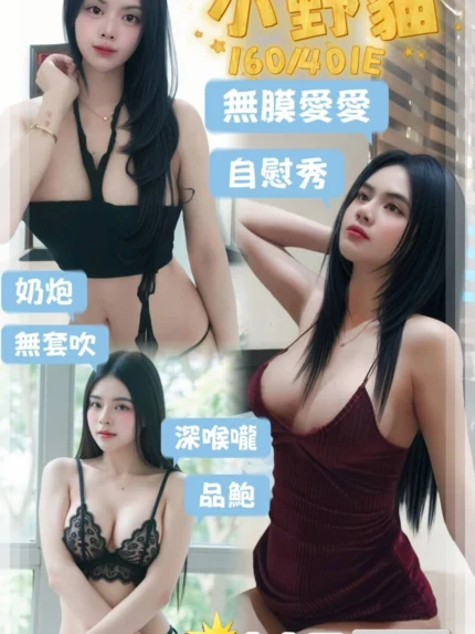 屏東定點茶-小野貓/158/40/20/E