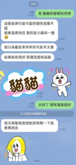 屏東定點茶,外送茶-貓貓/155/45/?/D