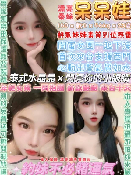 台北定點茶-呆呆娃/160/46/23/D