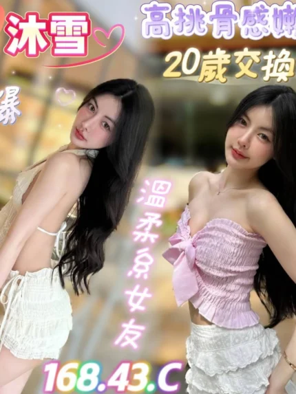 台南定點茶-沐雪/168/43/20/C