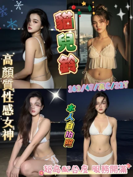 新北定點茶-貓兒鈴/162/47/22/C