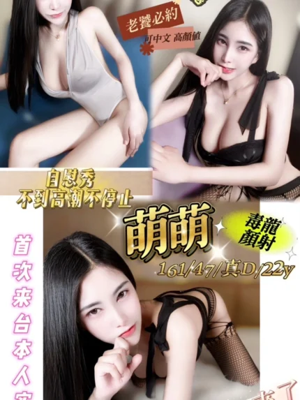 台中定點茶-萌萌/161/47/22/D