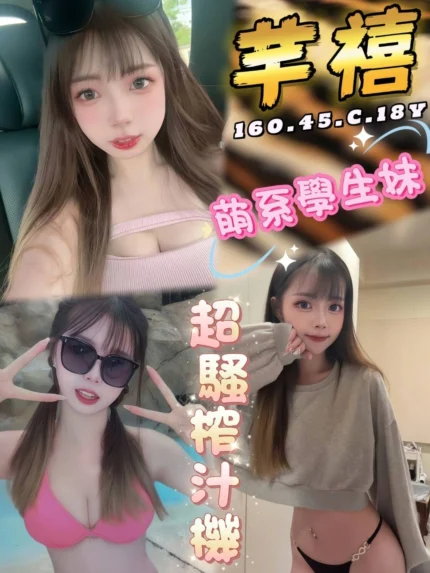 台中外送茶-芊禧/160/45/18/C