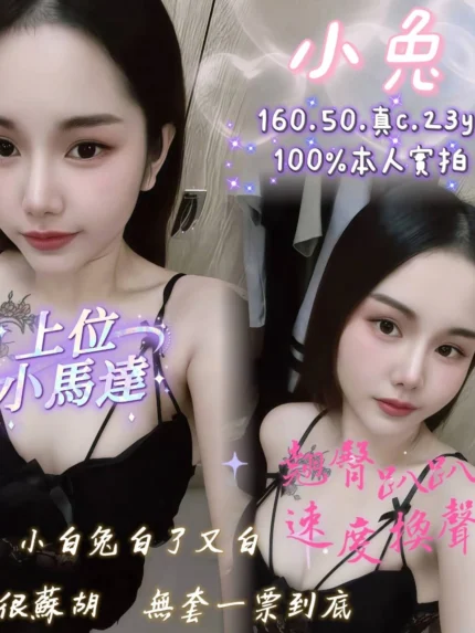 嘉義定點茶-小兔/160/50/23/C