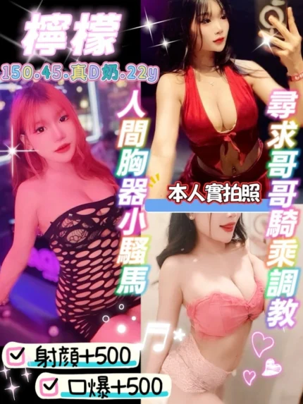 桃園定點茶-檸檬/150/45/22/D