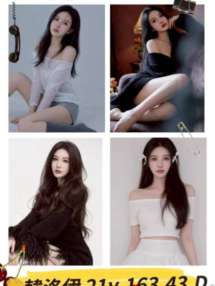 台北外送茶-韓洛伊/163/43/21/D