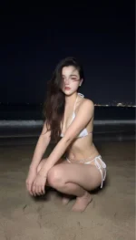 新北定點茶-貓兒鈴/162/47/22/C