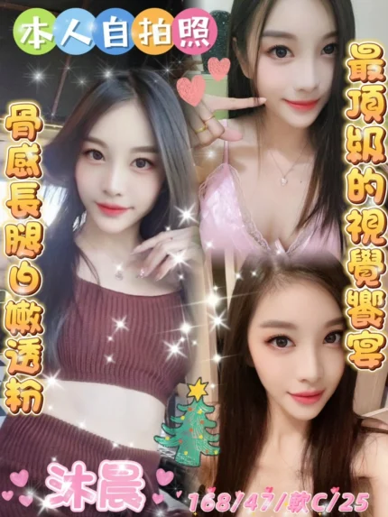 雲林定點茶-沐晨/168/47/25/C