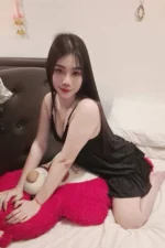 屏東外送茶-天鵝/157/50/?/D