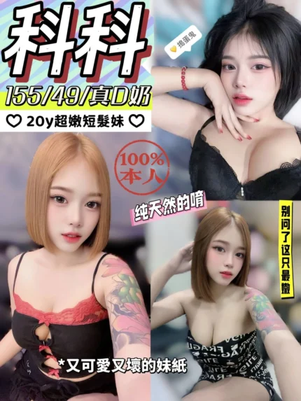 南投定點茶-科科/155/49/20/D