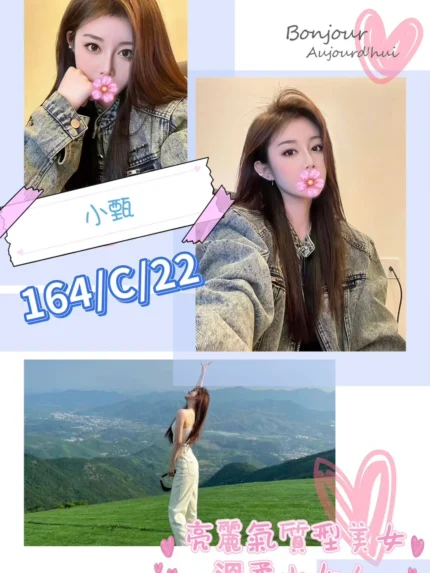 台北外送茶-小甄/164/?/22/C