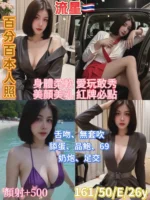 台北定點茶-流星/161/50/26/E