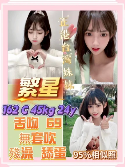 新北定點茶-繁星/162/45/24/C