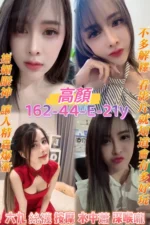 桃園定點茶-高顏/162/44/21/E