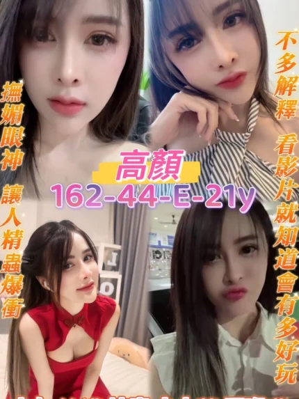 桃園定點茶-高顏/162/44/21/E