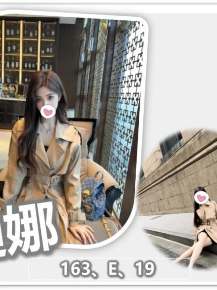 桃園外送茶-迪娜/163/?/19/E