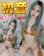 台中定點茶-初音/162/43/?/C