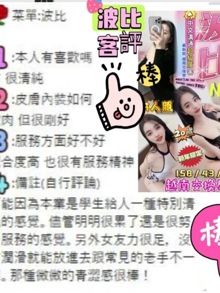 台中定點茶-波比/158/43/20/D