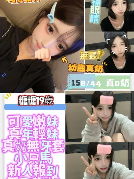 台南定點茶-糖糖/158/44/19/D