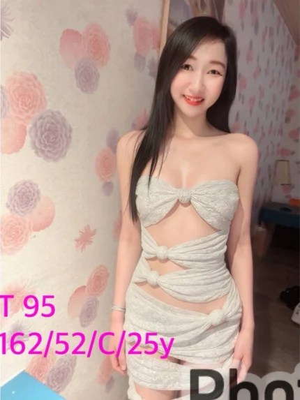 嘉義定點茶-T95/162/52/?/C