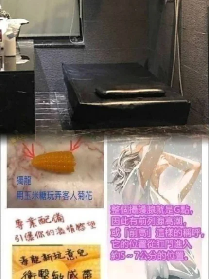 桃園定點茶-若云/164/52/28/D