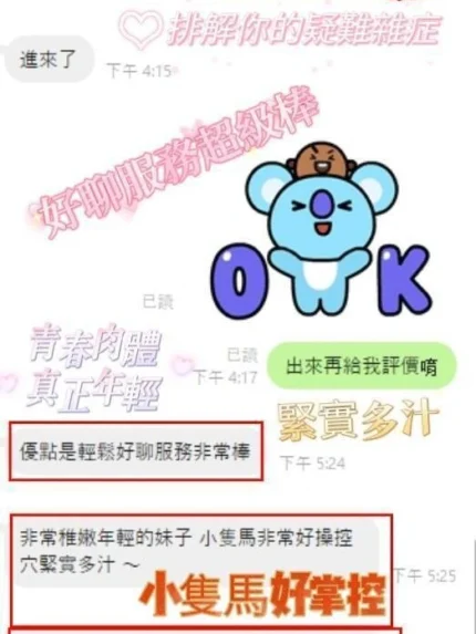 嘉義外送茶-朴寶英/158/45/20/C