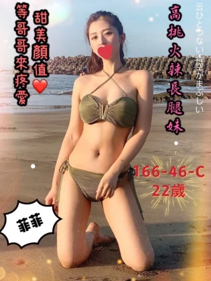 台中外送茶-菲菲/166/46/22/C