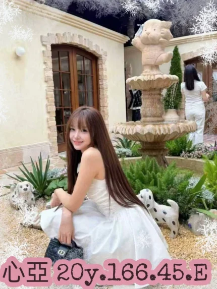 台北外送茶-心亞/166/45/20/E