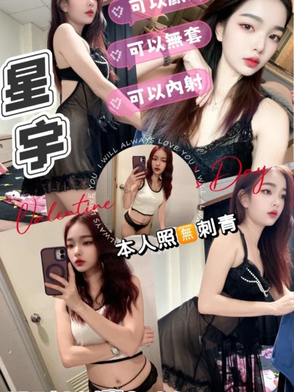 新北定點茶-星宇/157/42/22/C