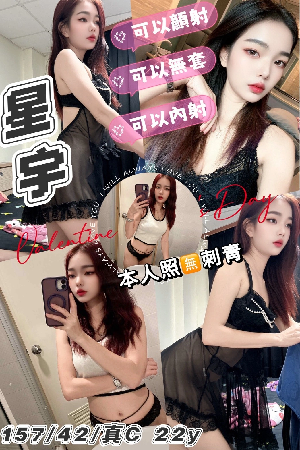 新北定點茶-星宇/157/42/22/C 新北定點茶-星宇/157/42/22/C