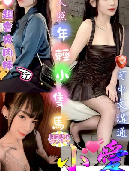 台中定點茶-小愛/156/47/20/B